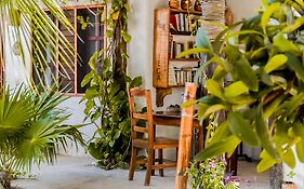 Zomay Beachfront Holbox