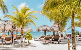 Zomay Beachfront Holbox